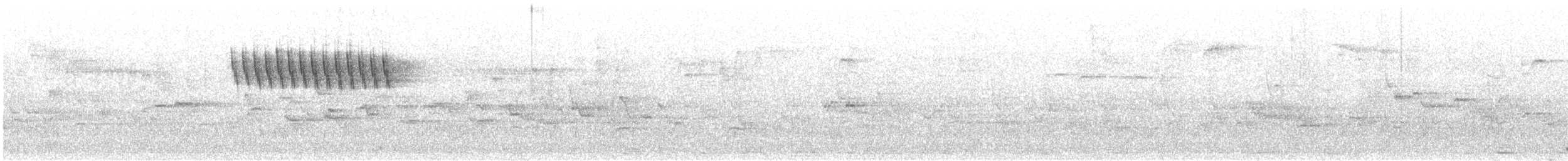 灰鶺鴒 - ML637448369