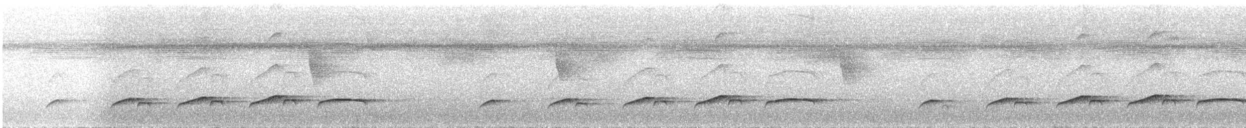 Bright-rumped Attila - ML637448725