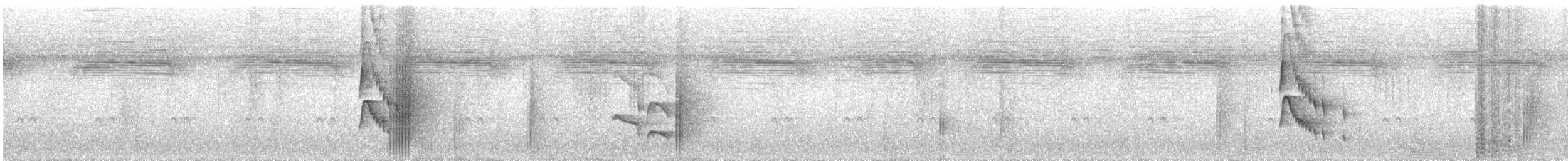 Golden-collared Manakin - ML637448727