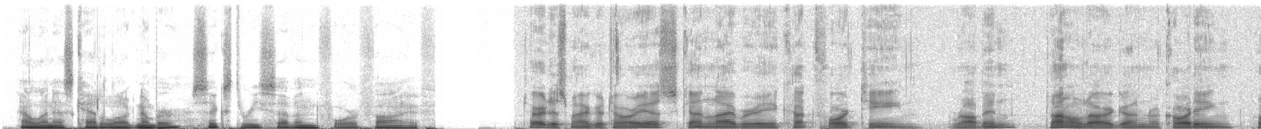 American Robin - ML63745