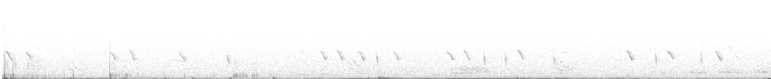bělořit plavý - ML637450984