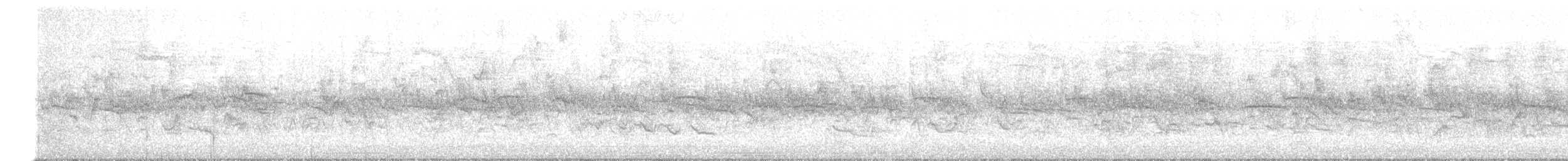 Silvereye - ML637451266