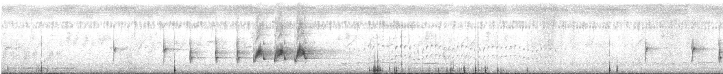 Striated Grassbird - ML637451510