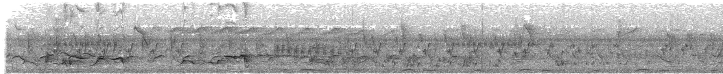 gallaparadismonark - ML637451648