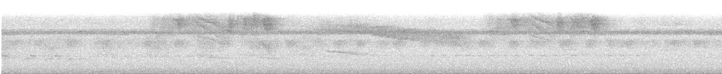 White-flanked Antwren - ML637452062