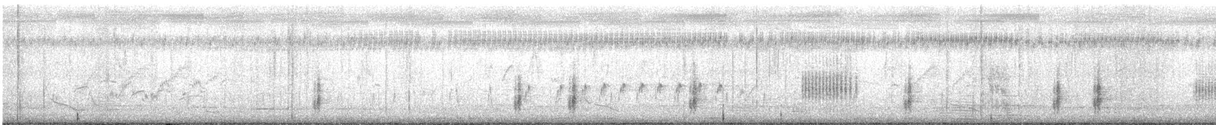 Clamorous Reed Warbler - ML637452476