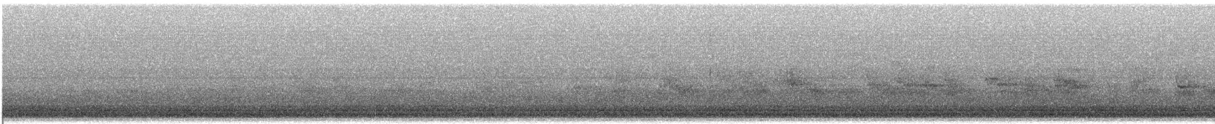Semipalmated Sandpiper - ML637453295