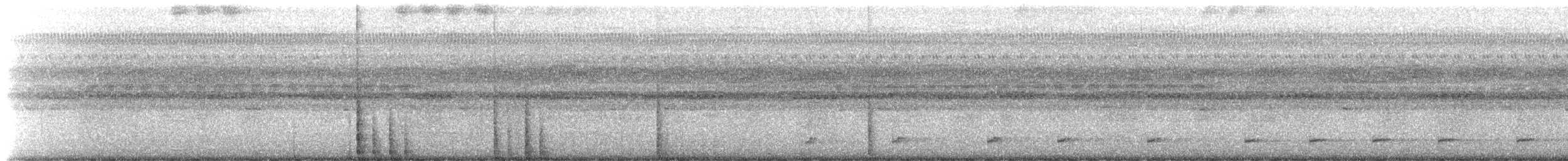 Short-tailed Nighthawk - ML637453855