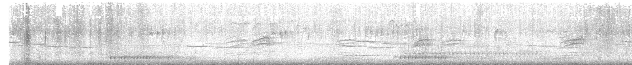 Hermit Thrush - ML637454753
