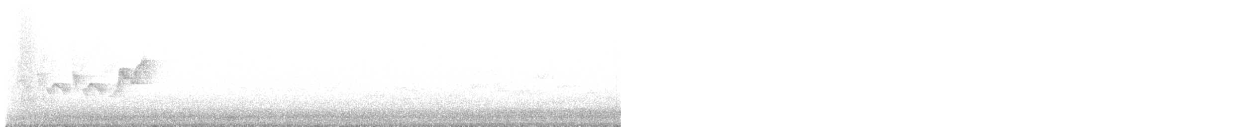 new world warbler sp. - ML637455675