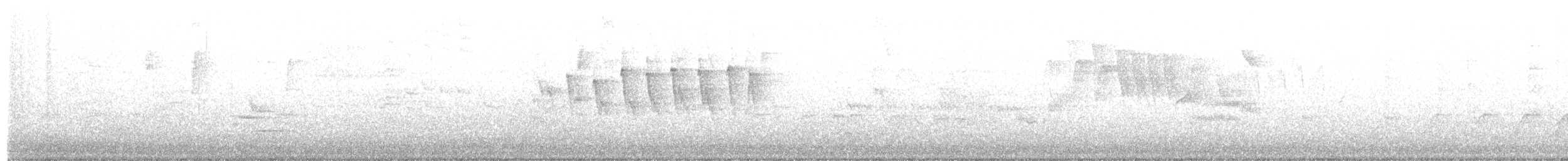 Wilson's Warbler - ML637455737