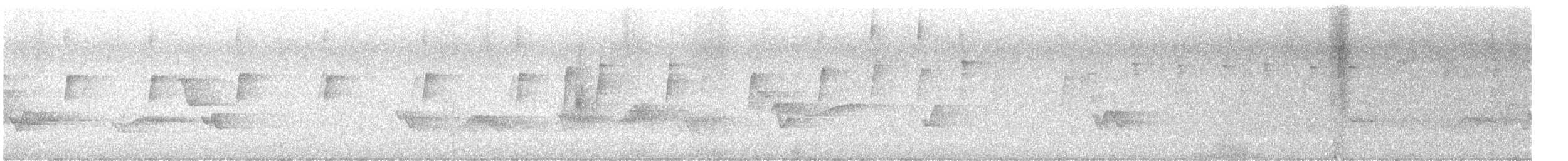 Vireo begigorria - ML637455821