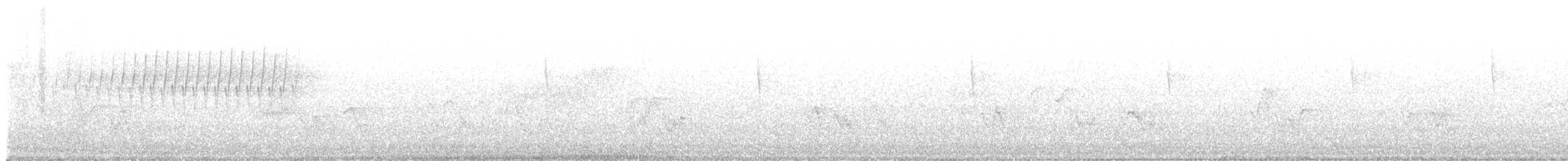 Paruline vermivore - ML637455961
