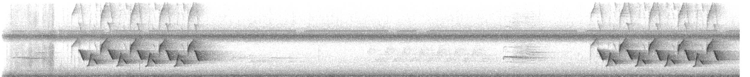 Carolina Wren - ML637456108