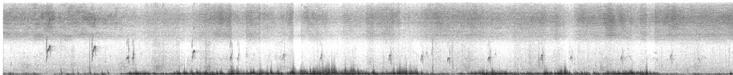 Chorlitejo Piquigrueso - ML637456736
