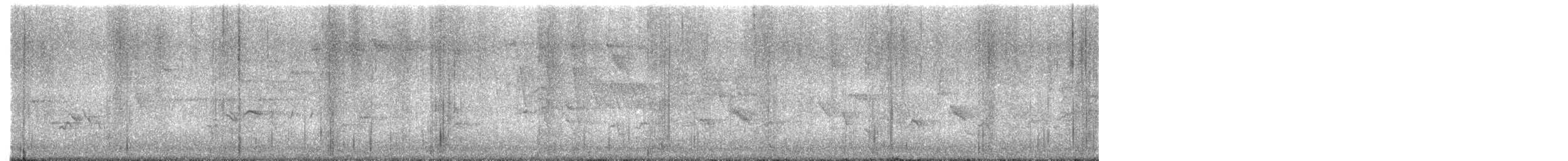 Blackpoll Warbler - ML637457503
