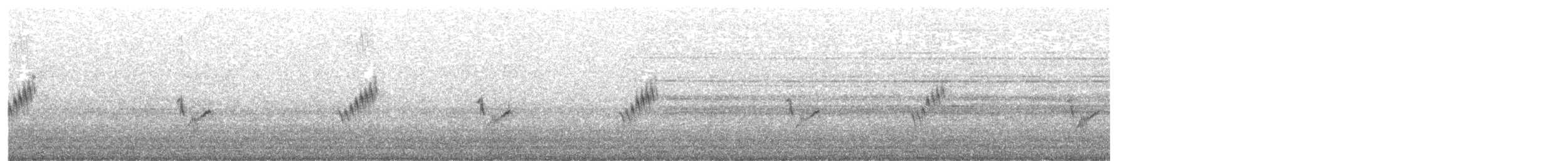 Pipit à dos uni - ML637457850