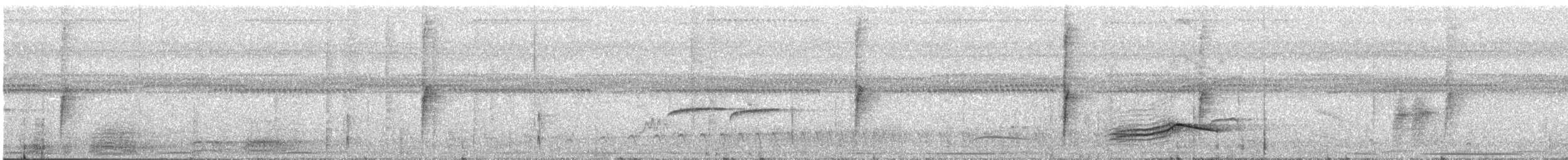 Helmeted Manakin - ML637457929