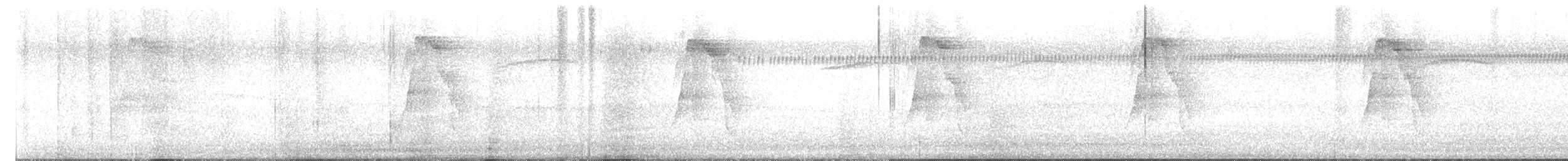 Sulphur-bellied Flycatcher - ML637458323