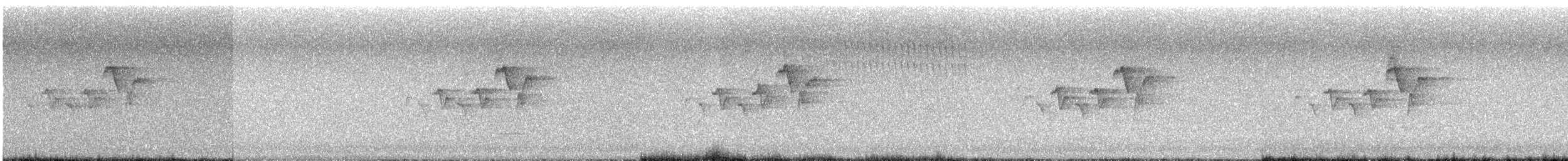 Magnolia Warbler - ML637464054