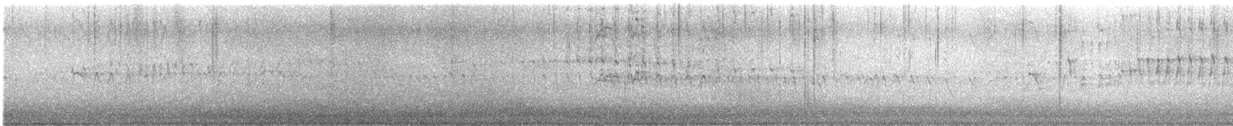 Martinet à ventre blanc - ML637464325