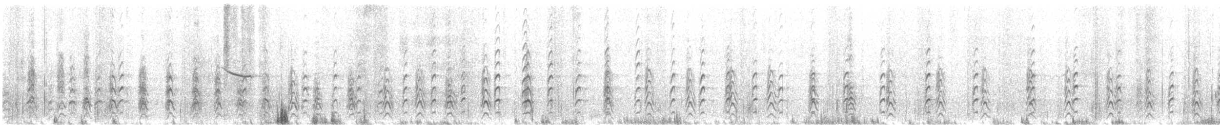 Schwarznacken-Stelzenläufer - ML637464327