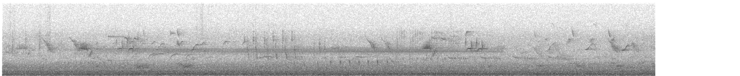 cvrčilka slavíková - ML637469675