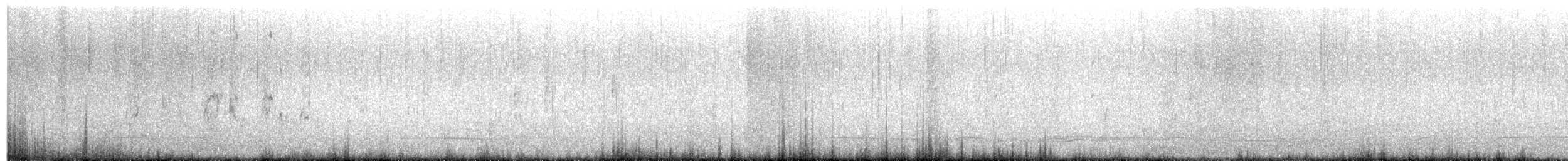 Black Scoter - ML637471669