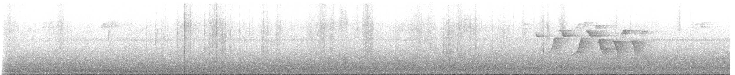 Warbling Vireo - ML637473406