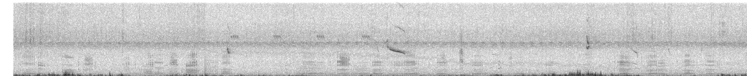 Neotropic Cormorant - ML637474986