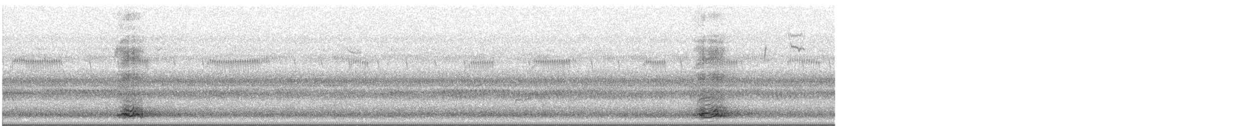 American Bittern - ML637475423