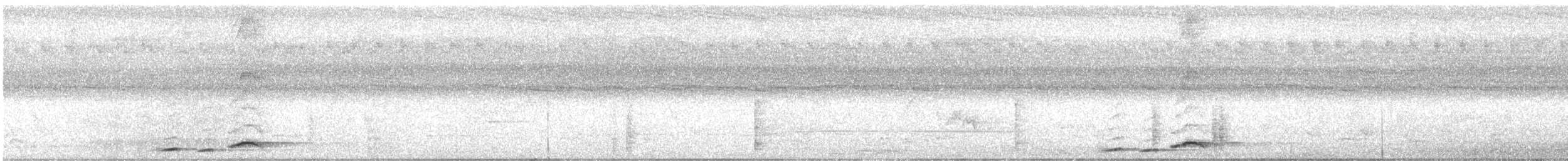 Large Scimitar-Babbler - ML637477720