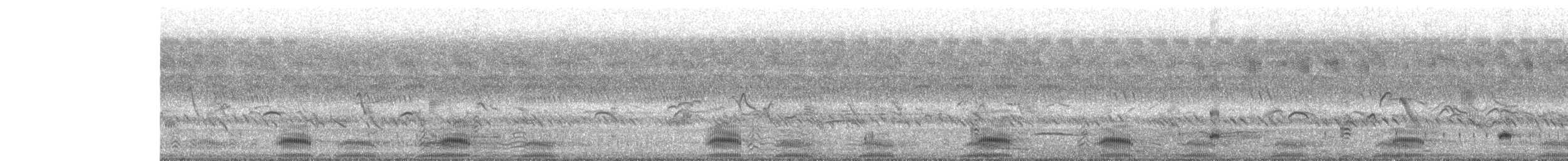 Talève à tête grise - ML637482359