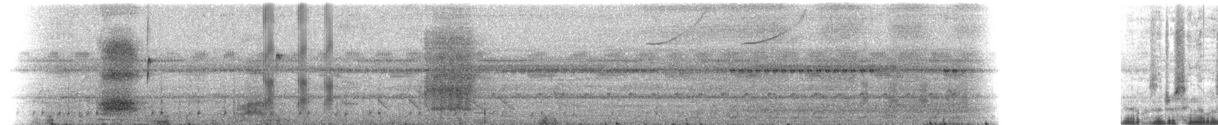 Black-tailed Tityra - ML637482652