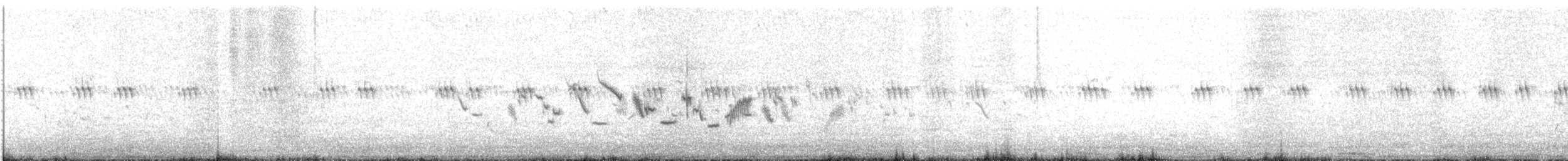 Plectrophane à ventre gris - ML637484160