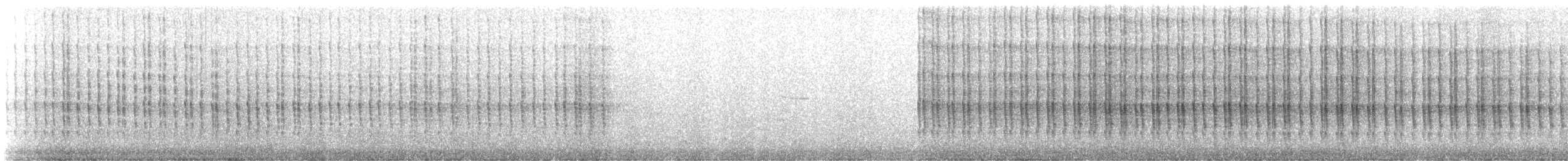 Belted Kingfisher - ML637484746