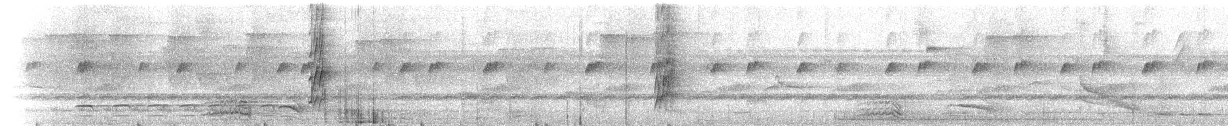 Пласкодзьоб західний - ML637484872