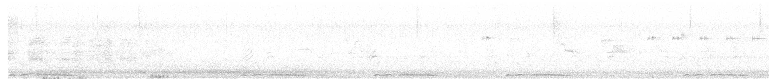 Black Francolin (Eastern) - ML637485087