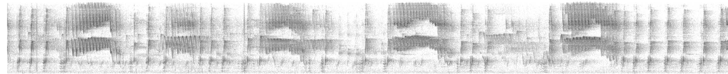 Kalij Pheasant - ML637485256
