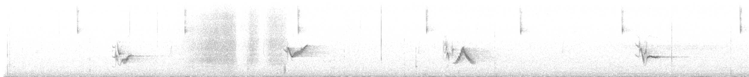 Cassin's Vireo - ML637486141
