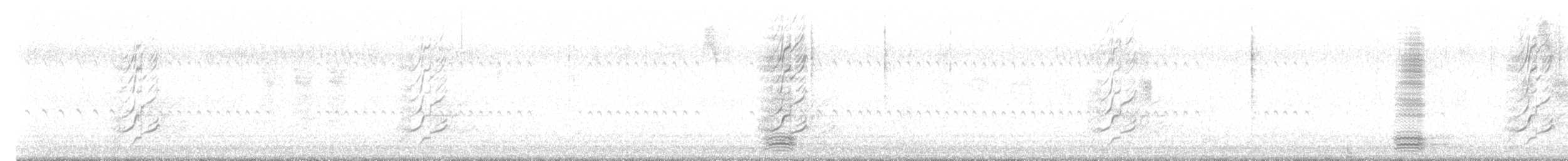 Méliphage à oreillons bleus - ML637486806