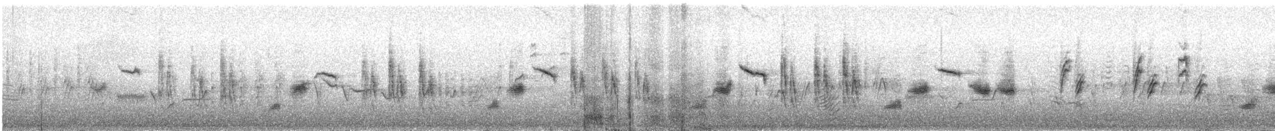 Blyth's Reed Warbler - ML637487531