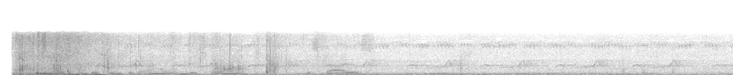 Schwarzkehl-Nachtschwalbe - ML637488268