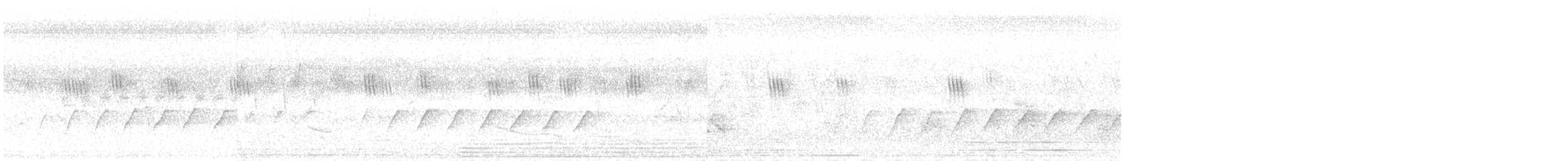 Schwarznackenmonarch - ML637489887