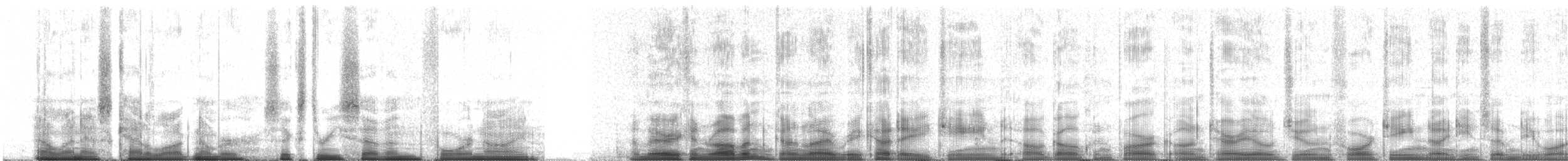 קיכלי נודד - ML63749