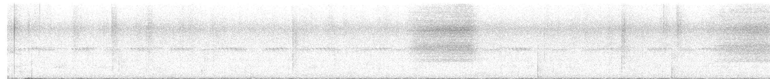 Western Barn Owl - ML637490112