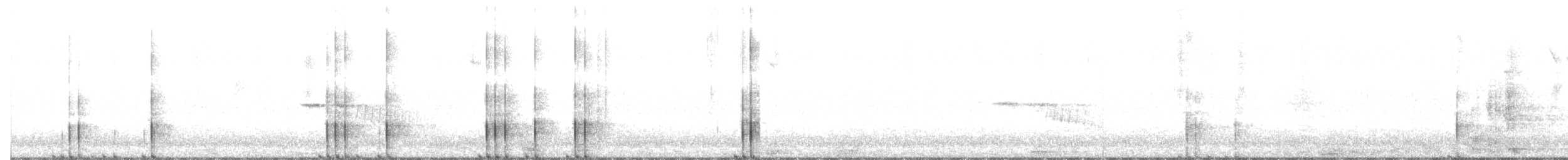 tasmansivhøne - ML637491184