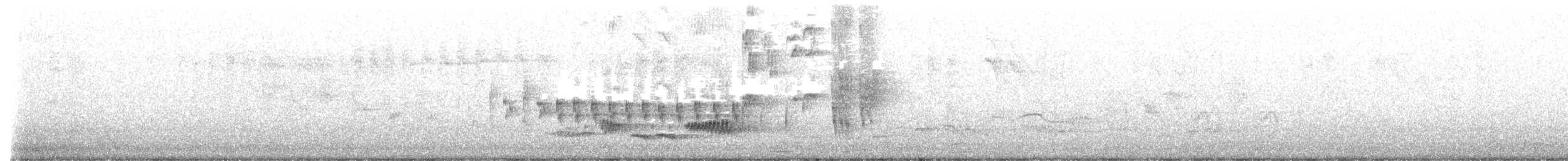 Славка-завирушка - ML637491216