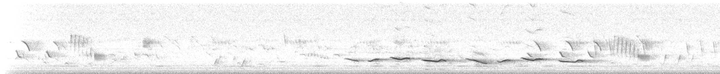 Black-crowned Tchagra (Black-crowned) - ML637491770
