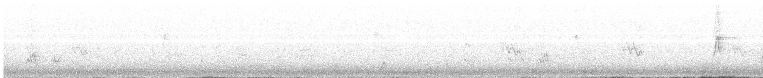 Budgerigar - ML637493310